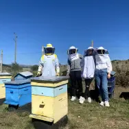 Kauzi 5